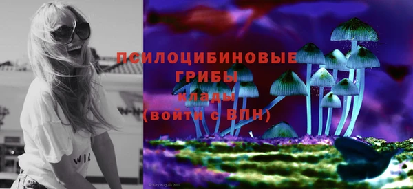 метамфетамин Богданович