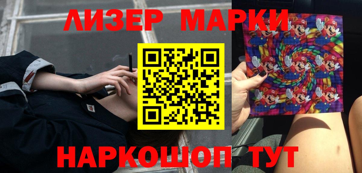 МЕФ Гудермес