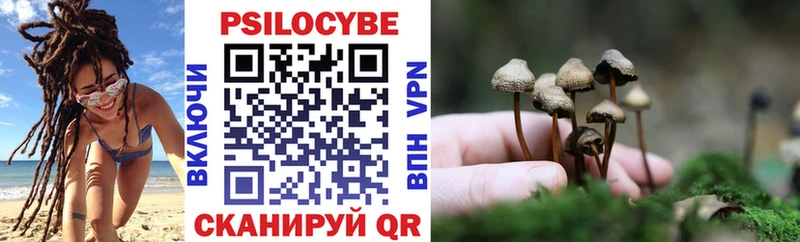 Галлюциногенные грибы мицелий  блэк спрут ONION  Гудермес 