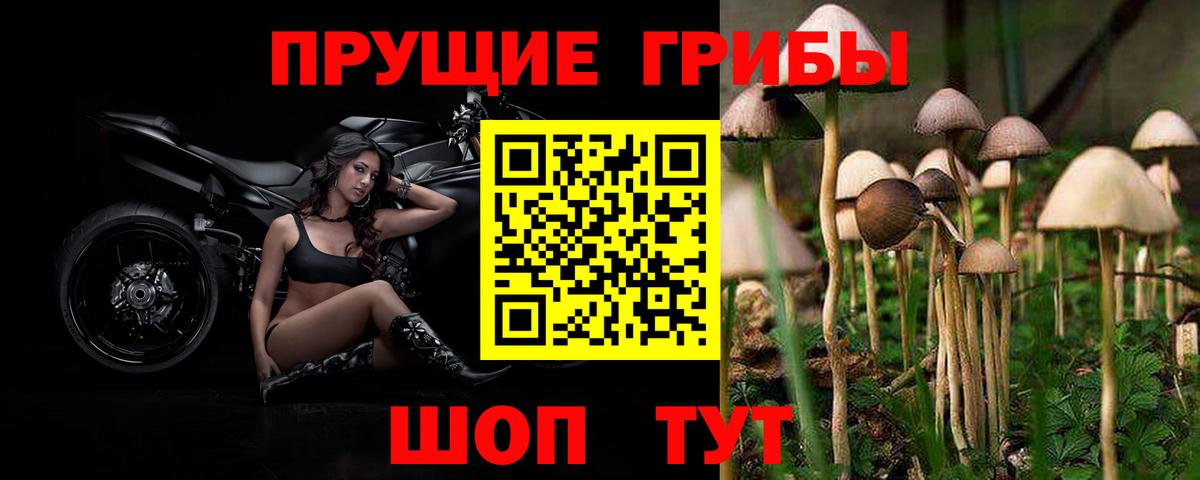 Галлюциногенные грибы ЛСД  Вход с VPN  Псилоцибиновые грибы прущие грибы  Гудермес 